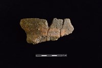 藏品(陶罐)的圖片